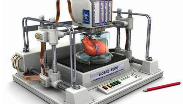 從基礎(chǔ)材料到日常應(yīng)用 3D打印技術(shù)如何重塑現(xiàn)代生活